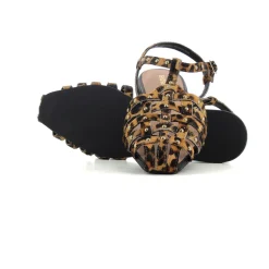 CANGREJERA LEOPARDO